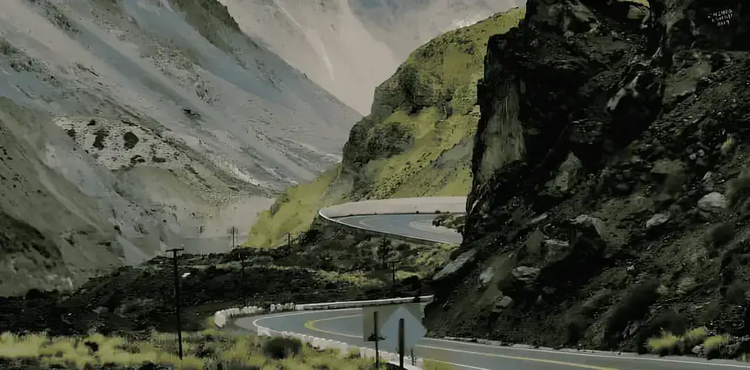Riding through Patagonian forest roads
