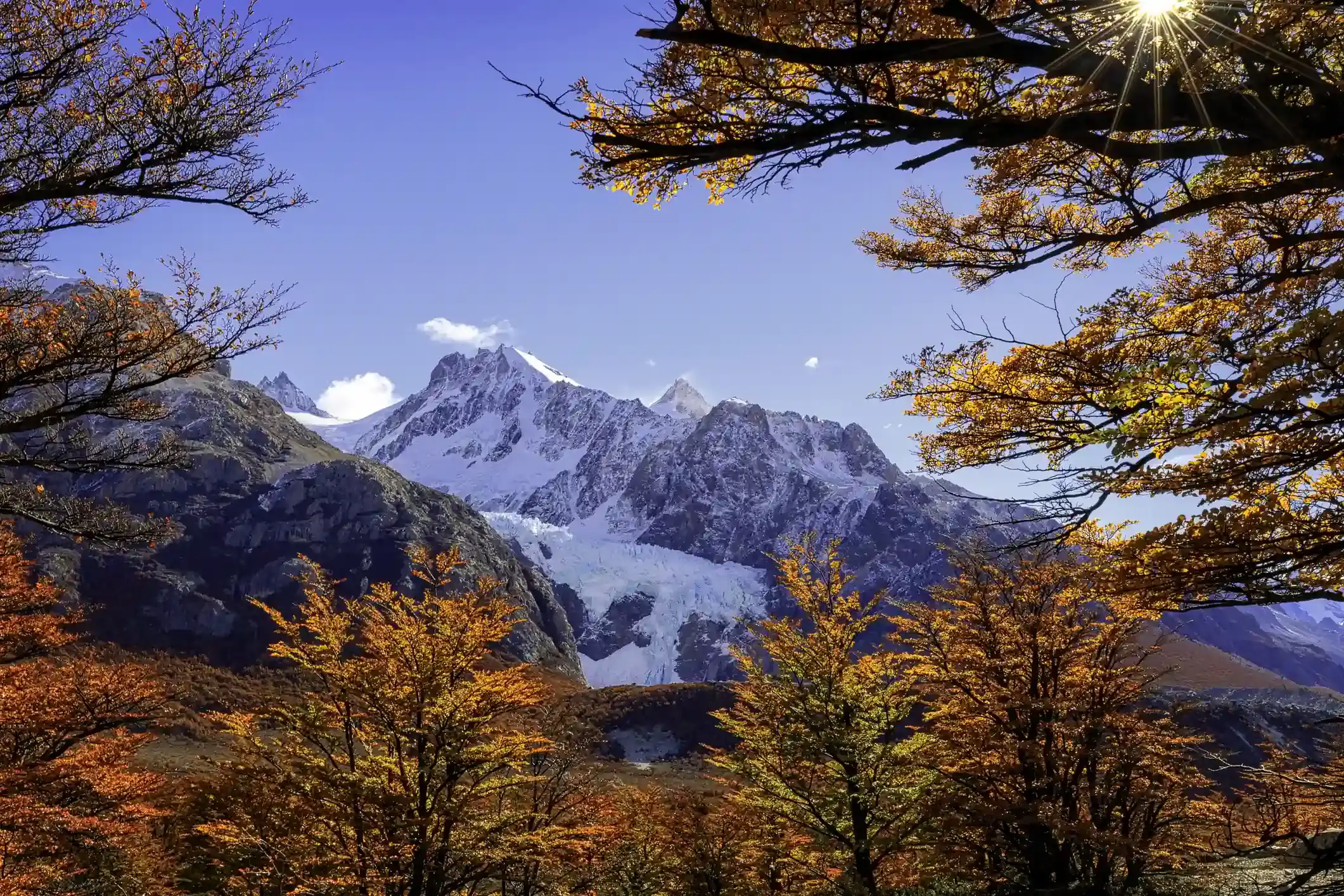 Snow-capped peaks and Glaciar Piedras Blancas framed by red autumn lenga trees in Los Glaciares National Park, Patagonia.